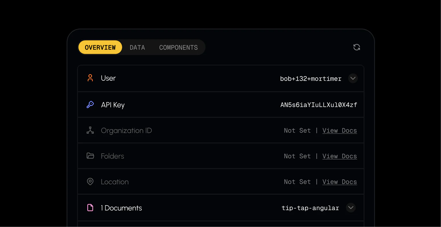 V1 Overview Tab showing API Key, logged-in user, and SDK details